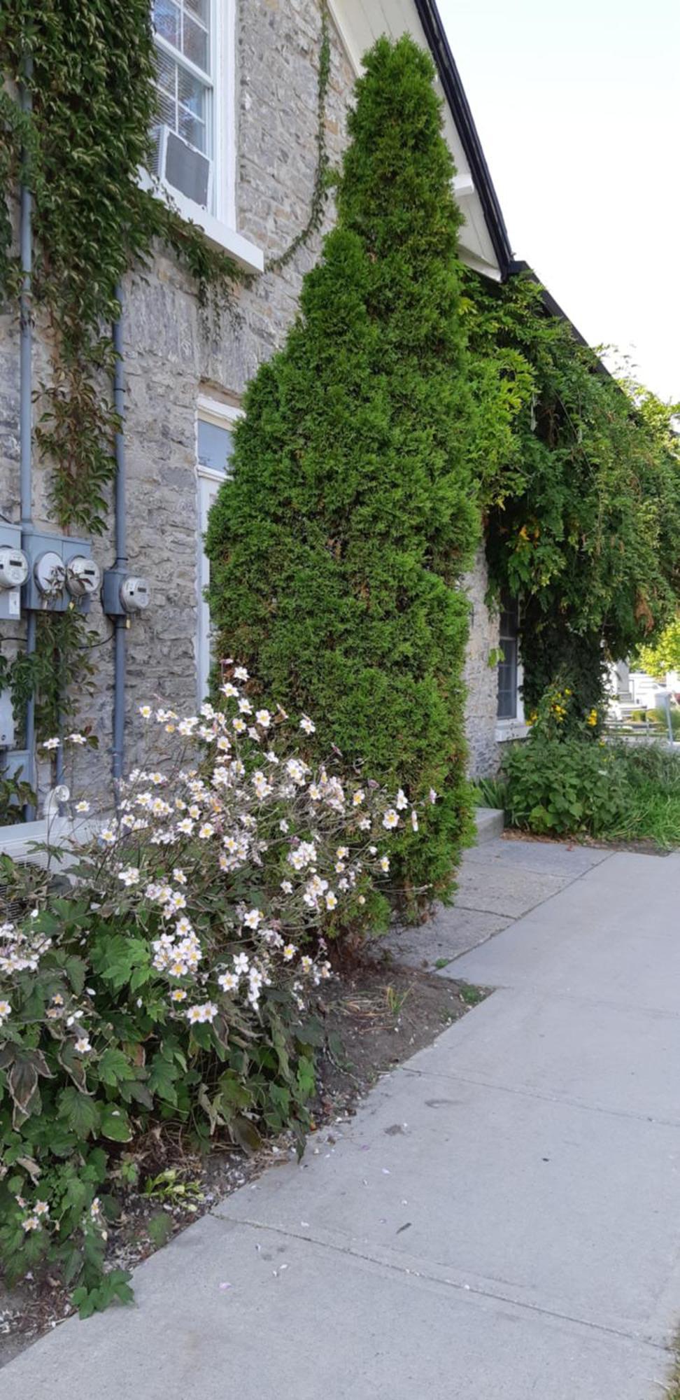 Stone Carriage House Villa Picton Exterior foto